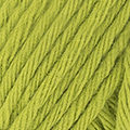 Katia United Cotton 100% katoen haak- en brei katoen in de kleur 31