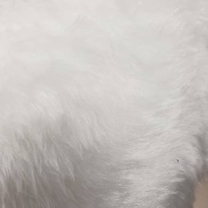Wit bont korthaar van 100% polyester – perfect voor Sinterklaasbaarden, bontranden aan capes, kostuums en decoratie. Zachte, soepel verwerkbare stof