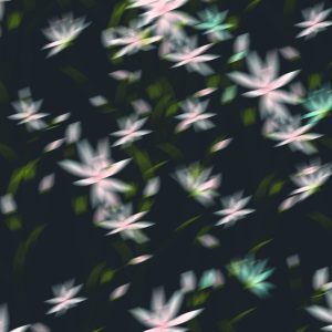 Fibre Mood - Hamsa - poplin flowers blur